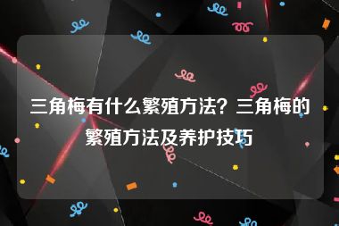 三角梅有什么繁殖方法？三角梅的繁殖方法及养护技巧