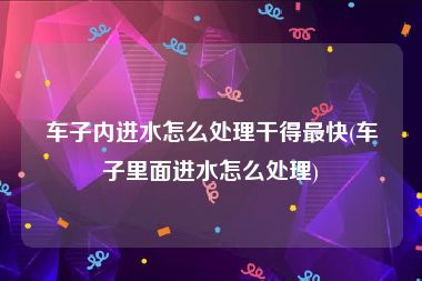 车子内进水怎么处理干得最快(车子里面进水怎么处理)