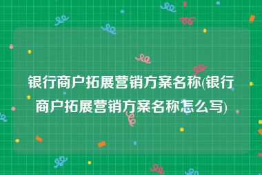 银行商户拓展营销方案名称(银行商户拓展营销方案名称怎么写)