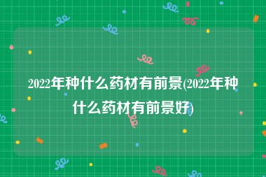 2022年种什么药材有前景(2022年种什么药材有前景好)