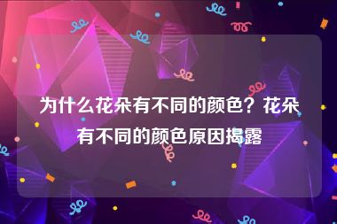 为什么花朵有不同的颜色？花朵有不同的颜色原因揭露