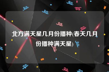 北方满天星几月份播种(春天几月份播种满天星)