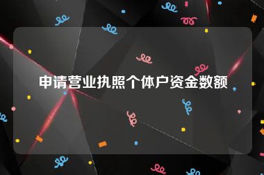 申请营业执照个体户资金数额