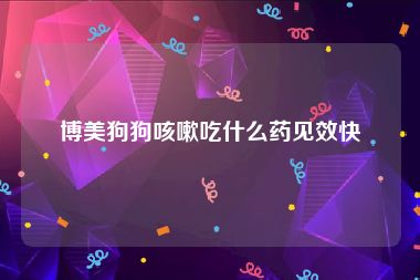 博美狗狗咳嗽吃什么药见效快