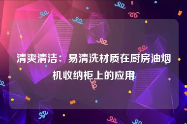 清爽清洁：易清洗材质在厨房油烟机收纳柜上的应用