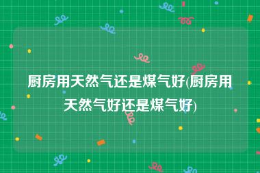 厨房用天然气还是煤气好(厨房用天然气好还是煤气好)