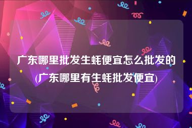 广东哪里批发生蚝便宜怎么批发的(广东哪里有生蚝批发便宜)