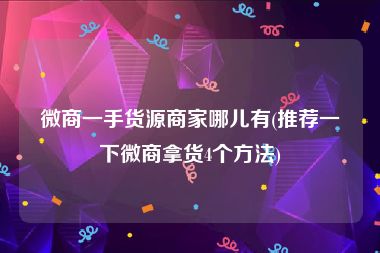 微商一手货源商家哪儿有(推荐一下微商拿货4个方法)