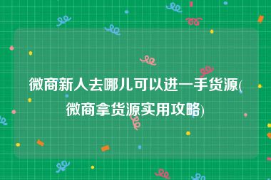 微商新人去哪儿可以进一手货源(微商拿货源实用攻略)