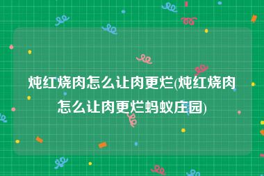 炖红烧肉怎么让肉更烂(炖红烧肉怎么让肉更烂蚂蚁庄园)