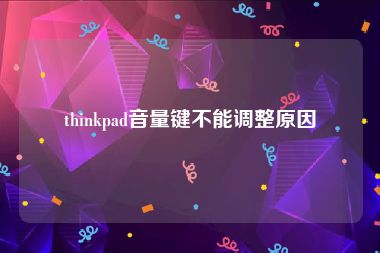 thinkpad音量键不能调整原因