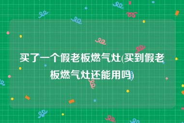 买了一个假老板燃气灶(买到假老板燃气灶还能用吗)