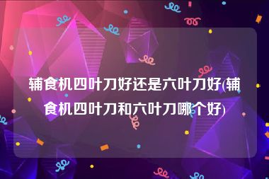 辅食机四叶刀好还是六叶刀好(辅食机四叶刀和六叶刀哪个好)