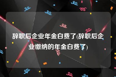 辞职后企业年金白费了(辞职后企业缴纳的年金白费了)