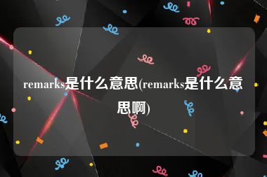 remarks是什么意思(remarks是什么意思啊)