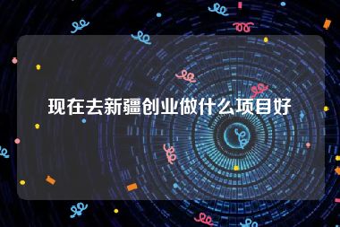 现在去新疆创业做什么项目好