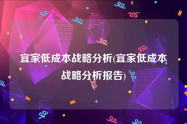 宜家低成本战略分析(宜家低成本战略分析报告)