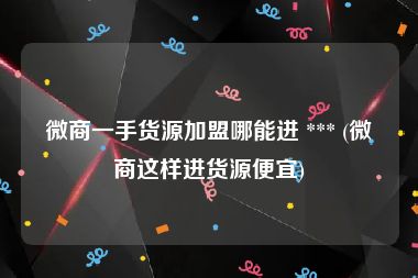 微商一手货源加盟哪能进 *** (微商这样进货源便宜)