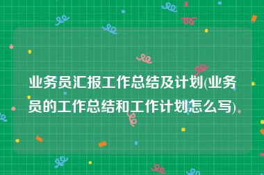 业务员汇报工作总结及计划(业务员的工作总结和工作计划怎么写)