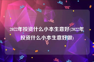 2022年投资什么小本生意好(2022年投资什么小本生意好做)