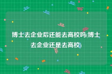 博士去企业后还能去高校吗(博士去企业还是去高校)