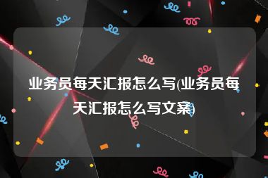 业务员每天汇报怎么写(业务员每天汇报怎么写文案)