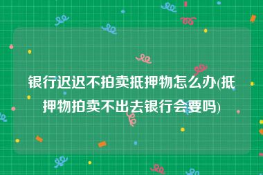 银行迟迟不拍卖抵押物怎么办(抵押物拍卖不出去银行会要吗)