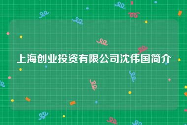 上海创业投资有限公司沈伟国简介