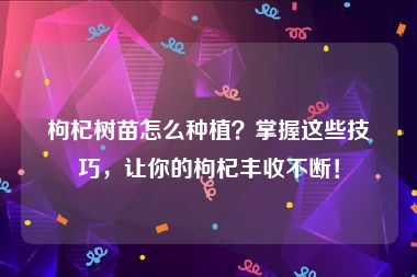 枸杞树苗怎么种植？掌握这些技巧，让你的枸杞丰收不断！