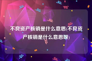 不良资产核销是什么意思(不良资产核销是什么意思呀)