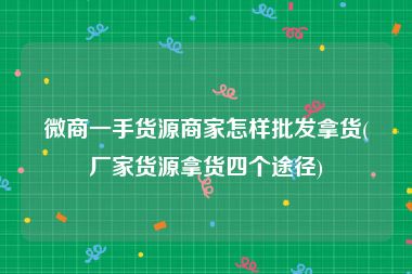 微商一手货源商家怎样批发拿货(厂家货源拿货四个途径)