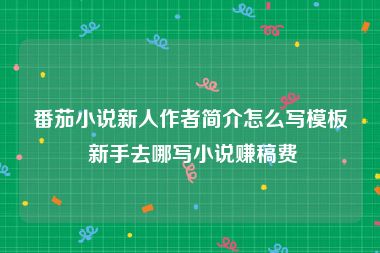 番茄小说新人作者简介怎么写模板 新手去哪写小说赚稿费