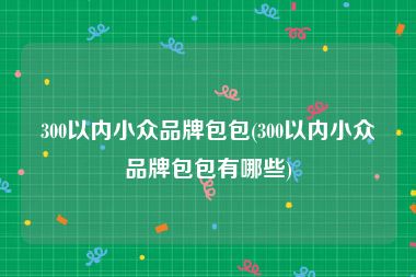 300以内小众品牌包包(300以内小众品牌包包有哪些)