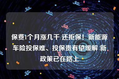 保费1个月涨几千 还拒保！新能源车险投保难、投保贵有望缓解 新政策已在路上