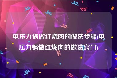 电压力锅做红烧肉的做法步骤(电压力锅做红烧肉的做法窍门)