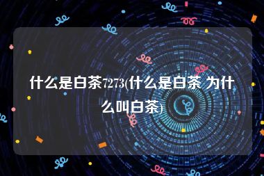 什么是白茶7273(什么是白茶 为什么叫白茶)