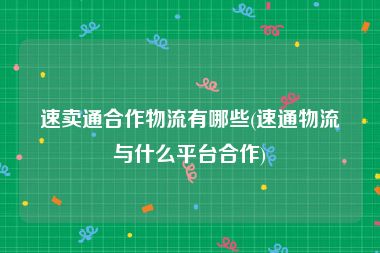 速卖通合作物流有哪些(速通物流与什么平台合作)