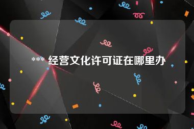  *** 经营文化许可证在哪里办