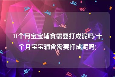 11个月宝宝辅食需要打成泥吗(十个月宝宝辅食需要打成泥吗)