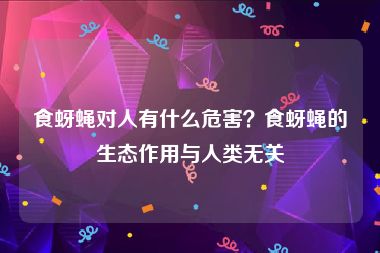 食蚜蝇对人有什么危害？食蚜蝇的生态作用与人类无关