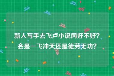 新人写手去飞卢小说网好不好？会是一飞冲天还是徒劳无功？