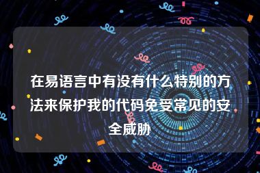 在易语言中有没有什么特别的方法来保护我的代码免受常见的安全威胁