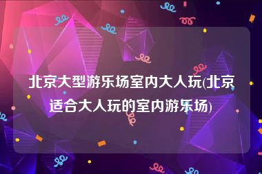 北京大型游乐场室内大人玩(北京适合大人玩的室内游乐场)