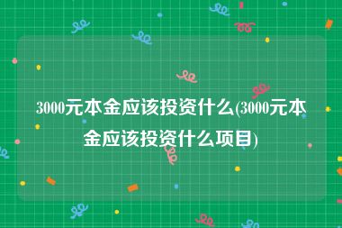 3000元本金应该投资什么(3000元本金应该投资什么项目)