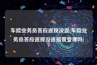 车险业务员答应返现没返(车险业务员答应返现没返报警受理吗)