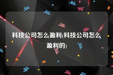 科技公司怎么盈利(科技公司怎么盈利的)