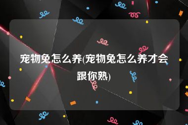 宠物兔怎么养(宠物兔怎么养才会跟你熟)