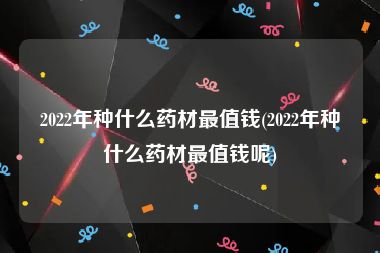 2022年种什么药材最值钱(2022年种什么药材最值钱呢)