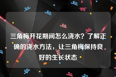 三角梅开花期间怎么浇水？了解正确的浇水方法，让三角梅保持良好的生长状态