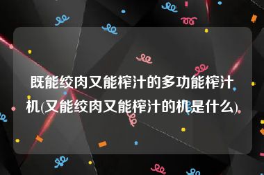 既能绞肉又能榨汁的多功能榨汁机(又能绞肉又能榨汁的机是什么)